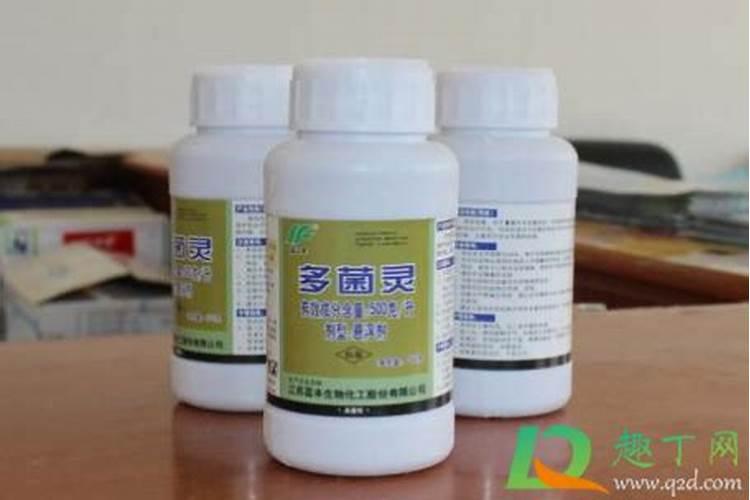2025微生物菌剂怎么兑水用？