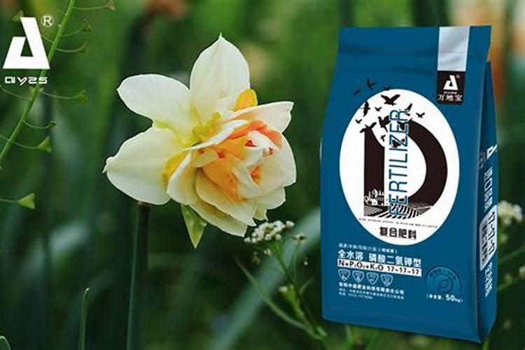 洋水仙复合肥厂家直销电话多少2025？