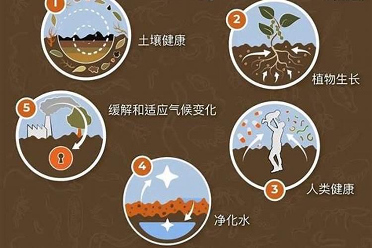 资兴樱桃生物有机肥效果怎么样？