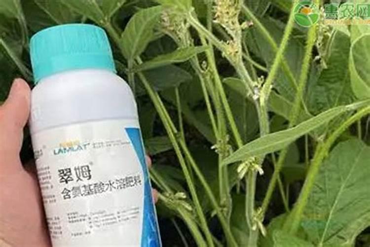 黄豆氨基酸叶面肥坏处有哪些危害？