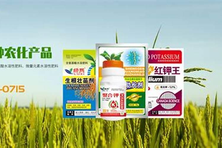 水溶肥料厂家联系方式电话？