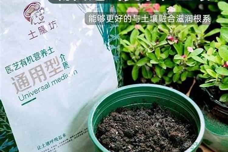 江苏生物有机肥有哪些蒜苔？