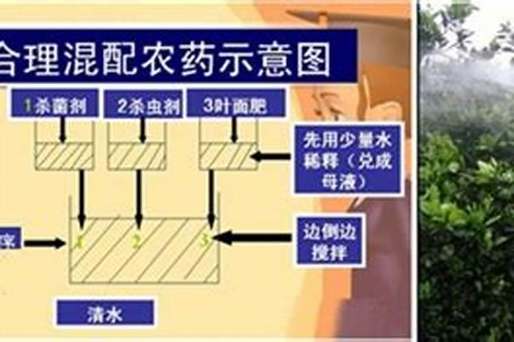 硅肥叶面肥使用方法？