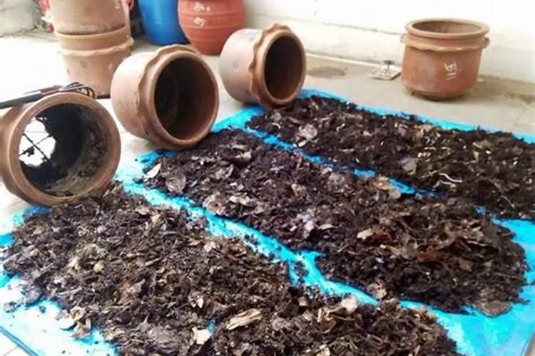 在家如何制作有机肥料