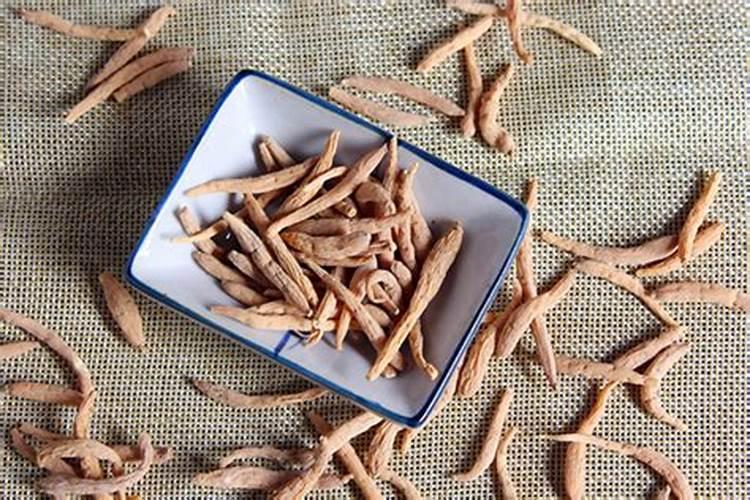 黑河生物菌肥作用与功效太子参