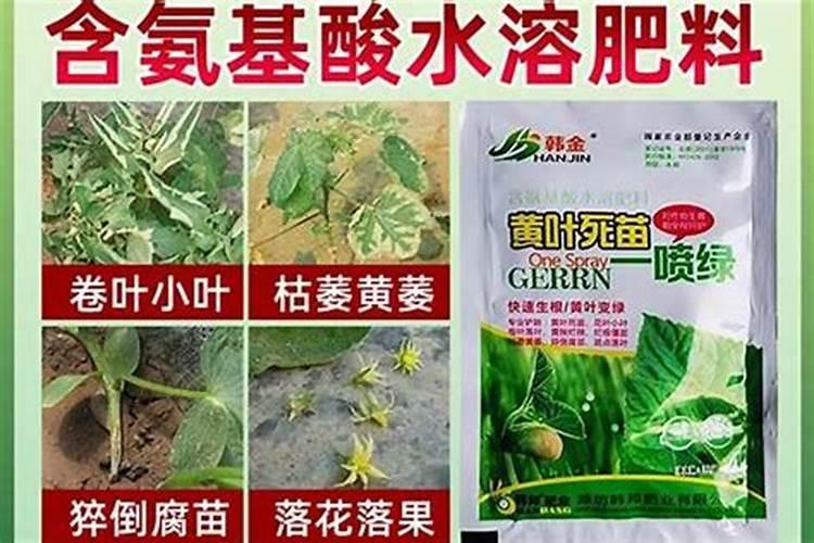 水溶肥一次浇多少斤