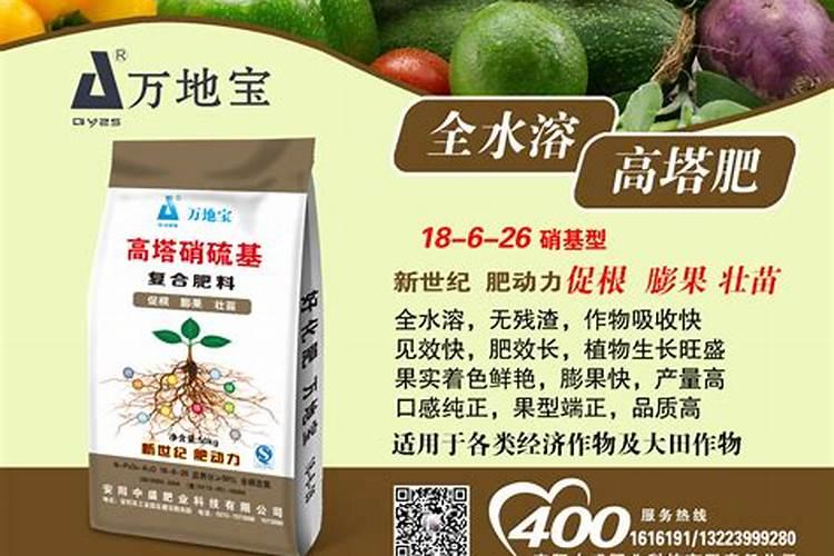 牛蒡生物菌肥的种类