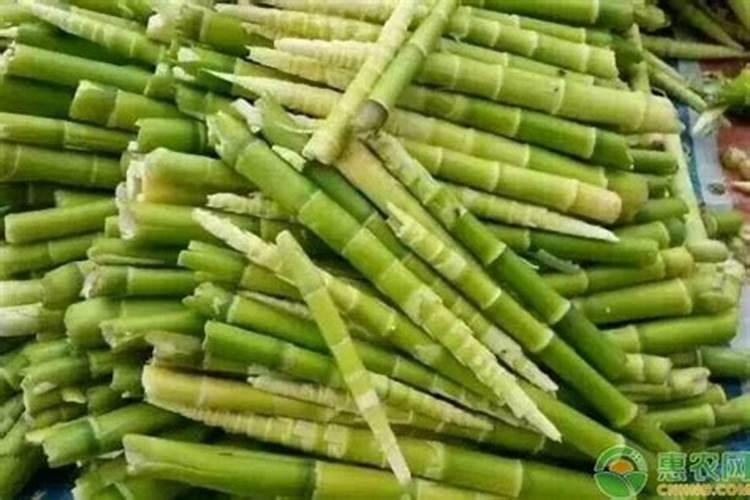 八月笋施复合肥的功效与作用