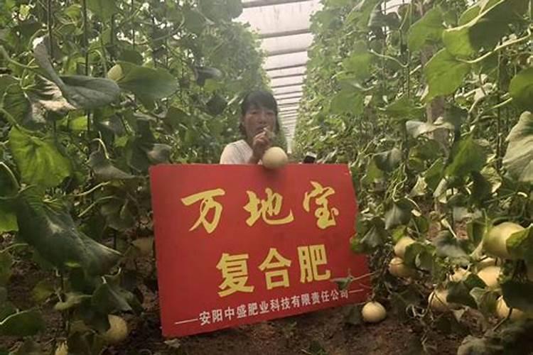 绥芬河甜瓜生产化肥的公司有哪些？