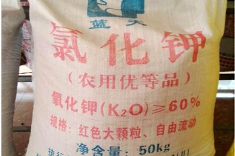 济宁天力农资公司有氯化钾大颗粒尿素吗