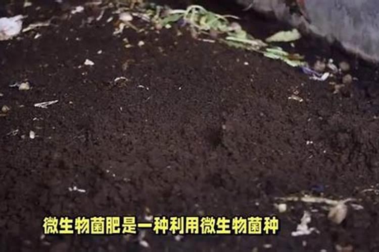 生物菌肥的正确使用