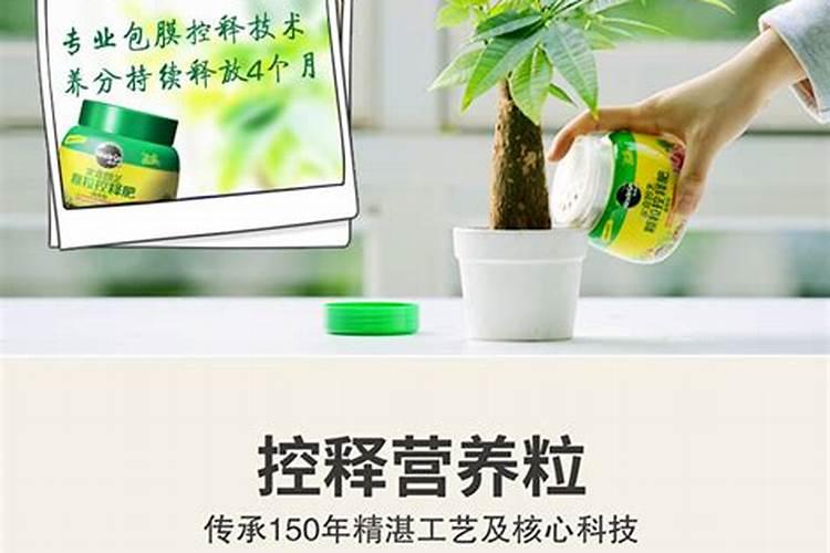 园艺颗粒控释肥适合什么植物用韭菜？