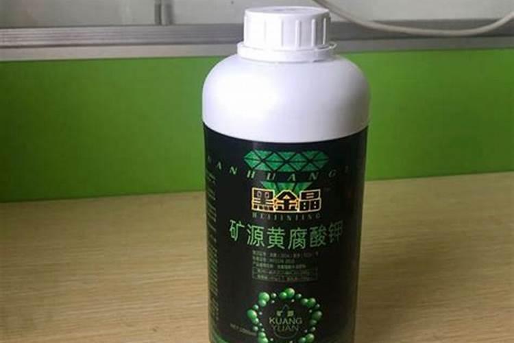 文心兰矿源黄腐酸钾什么时候用？