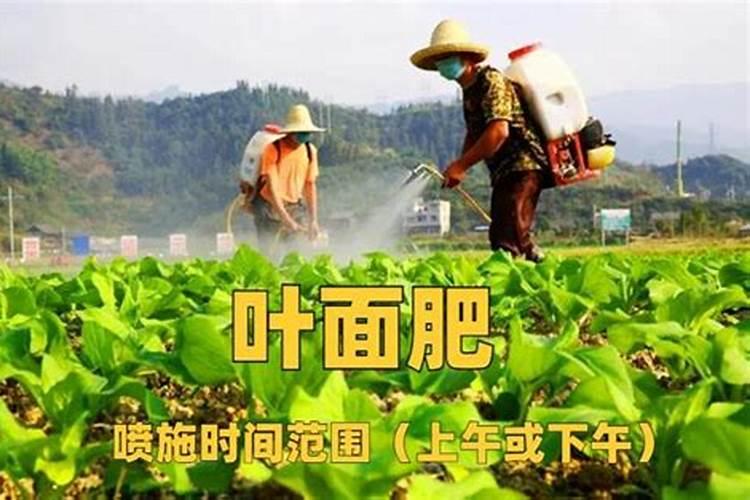 氨基酸叶面肥的肥效是几天十堰？