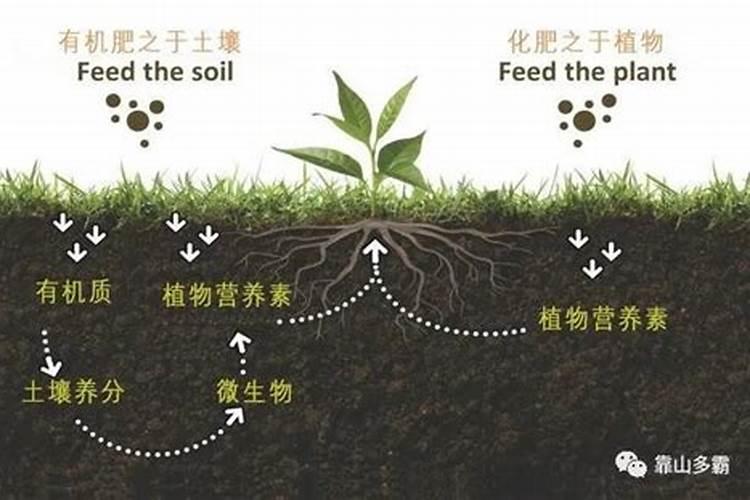 微生物肥料的概念和特点？
