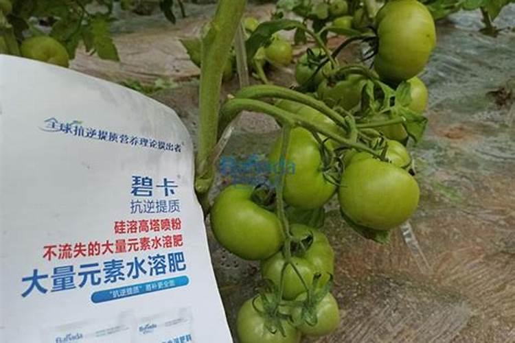 沃澜水溶肥是正规厂家吗
