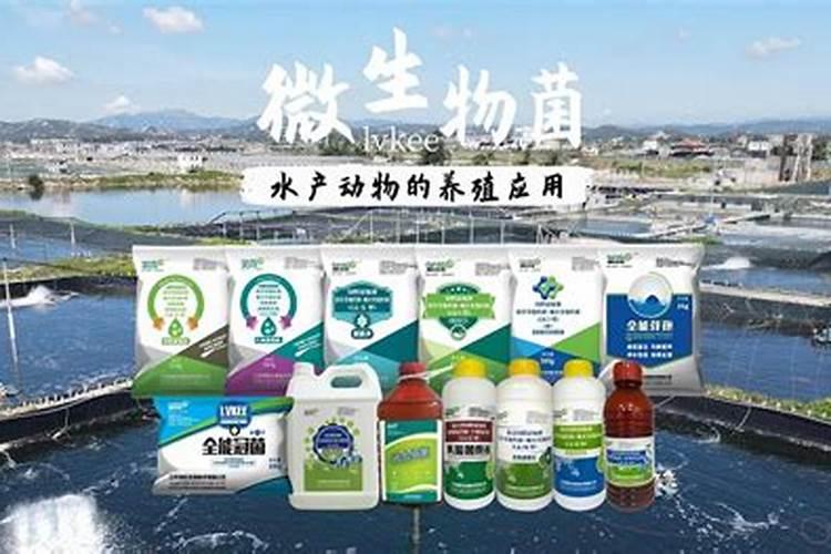 萍乡水产微生物菌剂的功能作用