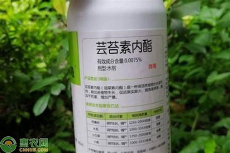 微生物菌剂加芸苔素的作用