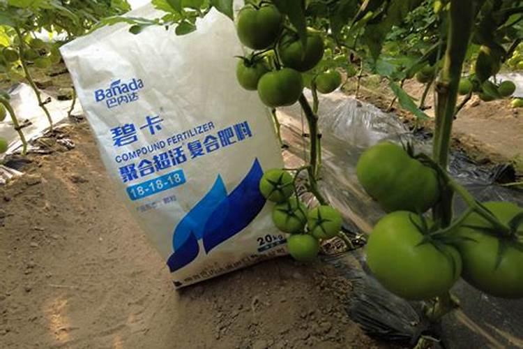 滕州2025水溶肥工厂有哪些项目可以做？
