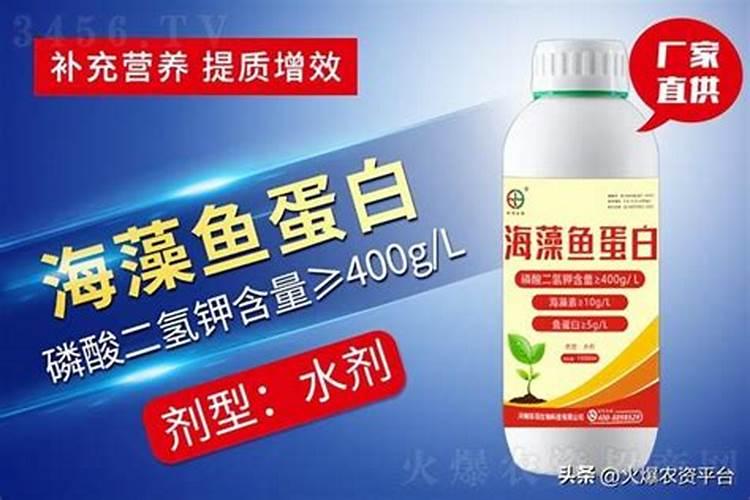 鱼蛋白肥料厂家前十名2025