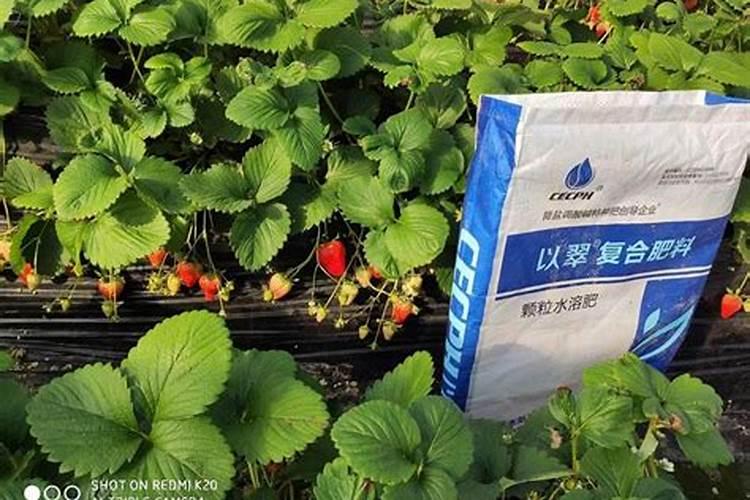 固原颗粒水溶肥料哪个品牌好一点儿？