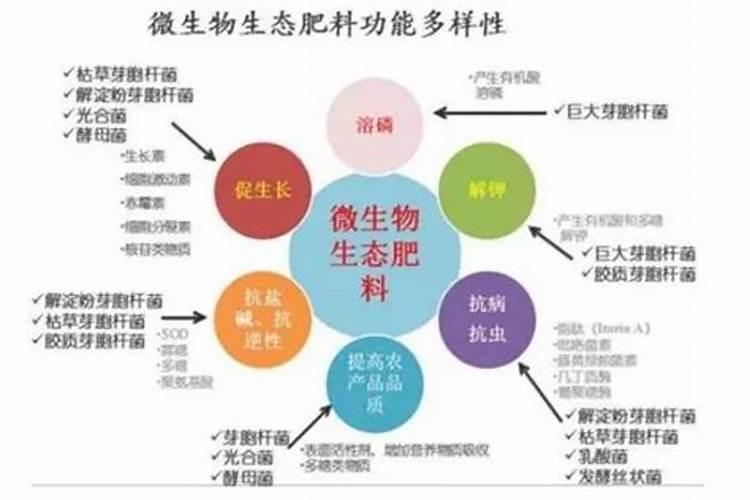 生物肥的作用机制