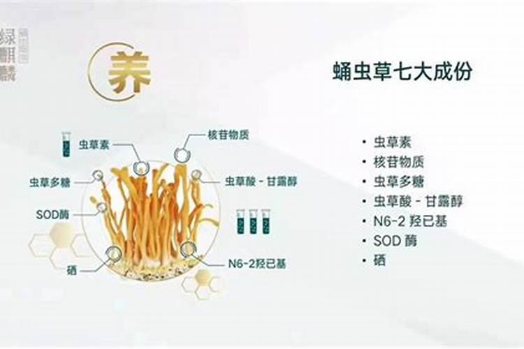 富硒是什么东西