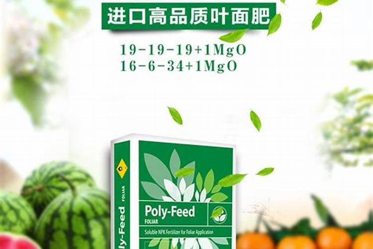 保力丰水溶肥多少钱一代？