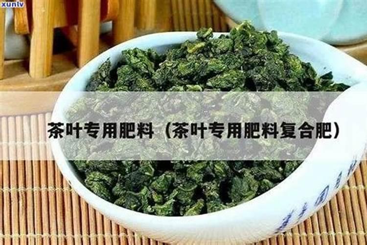 甘蓝茶叶专用复合肥有哪些种类的？