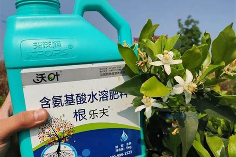 全国最大水溶肥厂家是哪家公司？
