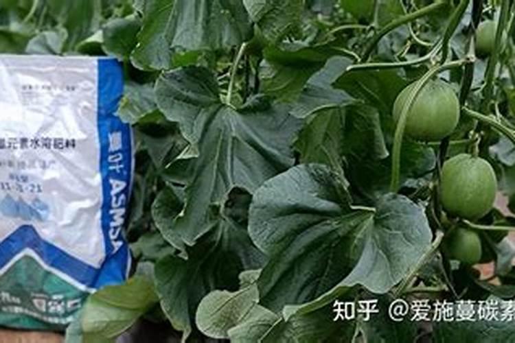图们水溶肥和复合肥哪个效果更好？