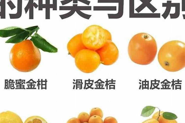 攀枝花生物肥料的具体种类有几种桔子？