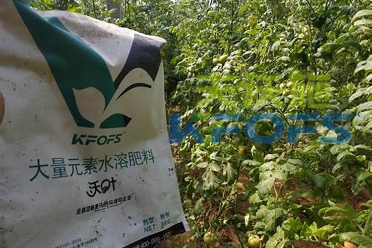 水溶肥为什么都这么贵？哪家好用？可作叶面肥喷施吗