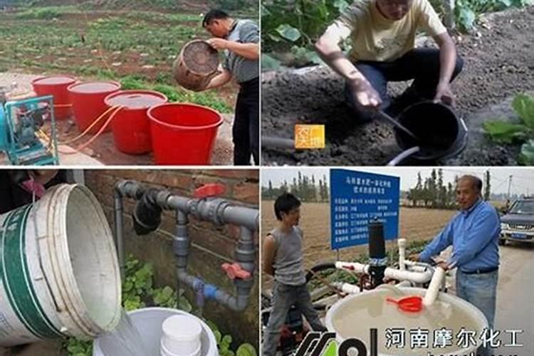 水溶肥料兑水比例是多少