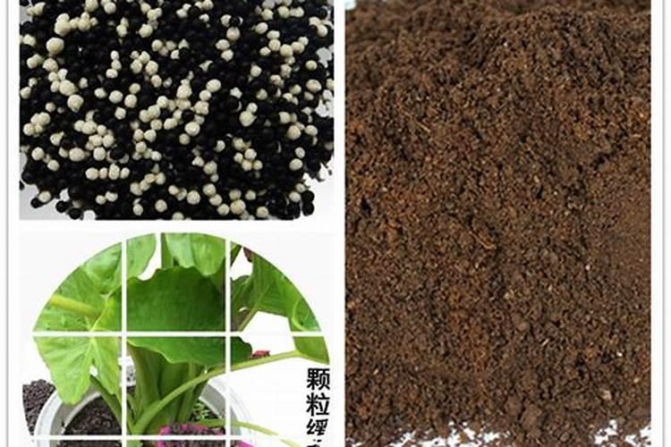 衢州有机化肥和无机化肥的优缺点