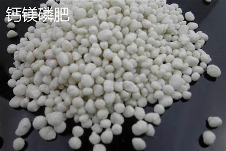 番石榴用钙镁磷肥有什么好处？