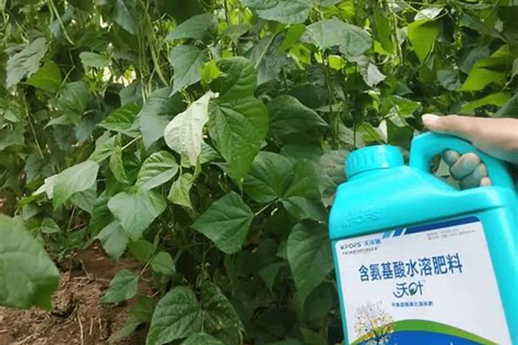 水溶肥的正确使用方法水溶肥的使用方法
