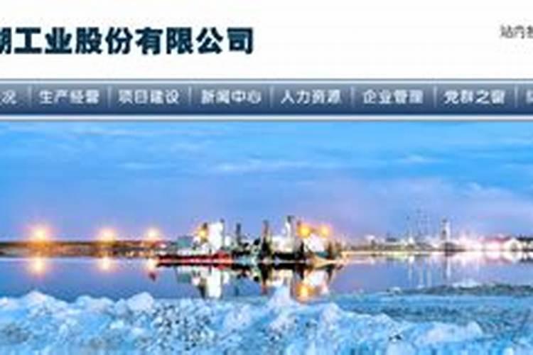 盐湖集团是生产什么的