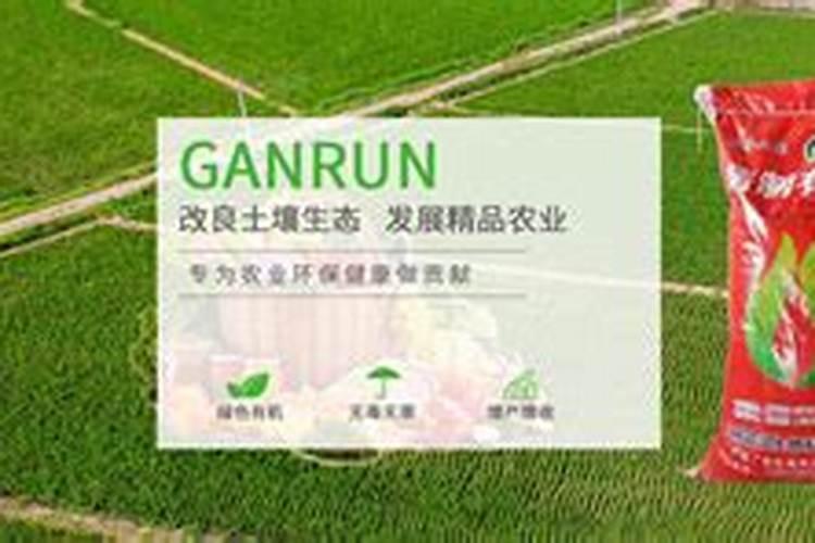 巴中有机化肥是有机物吗？