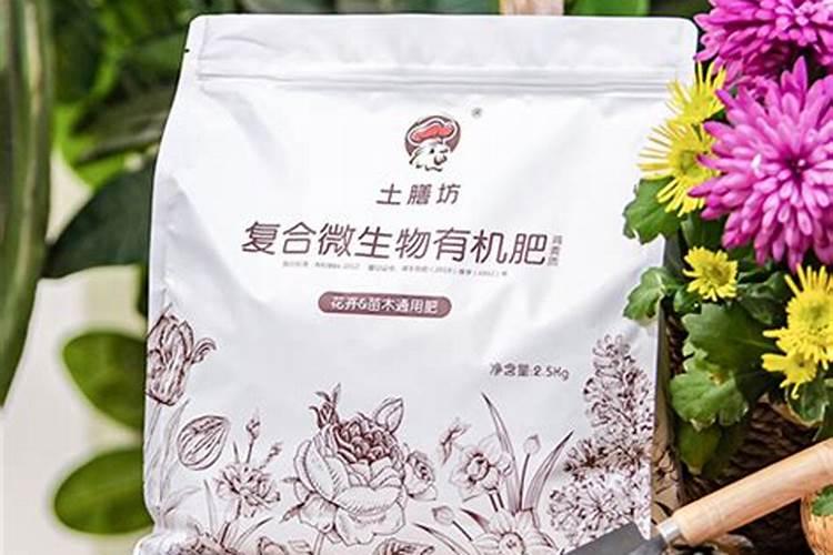 有机化肥前景怎么样？