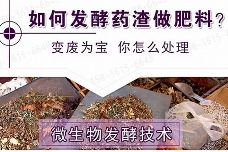怎样使用微生物有机肥发酵剂EM菌种青菜效果好