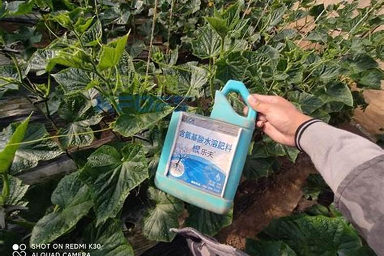 大家都用什么水溶肥