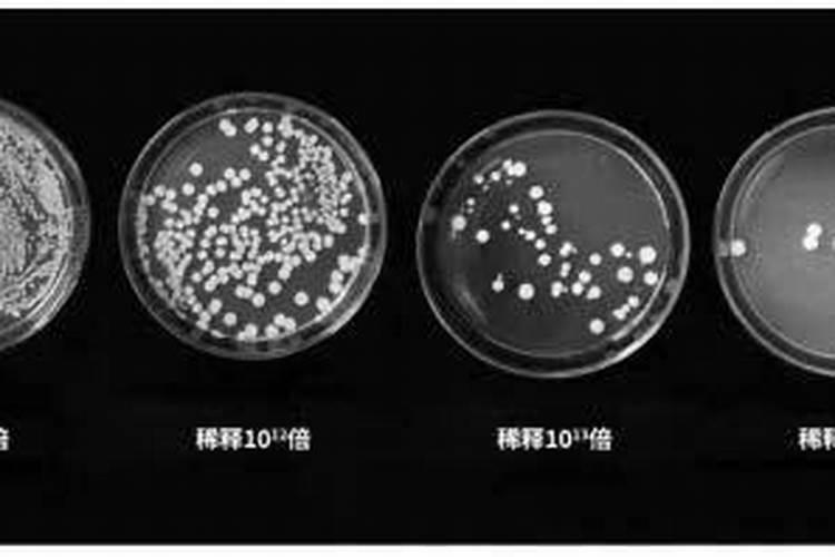 微生物菌剂的使用方法