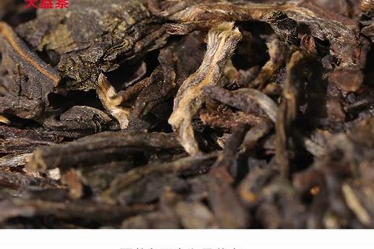 生物肥料10大排名普洱