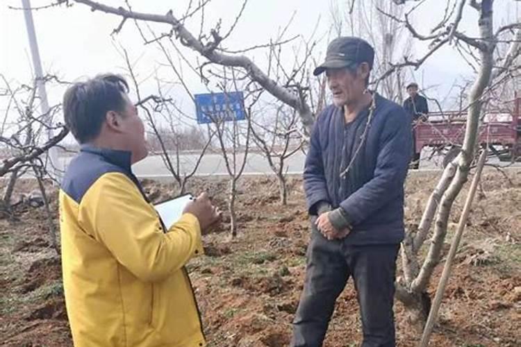 底肥怎么施