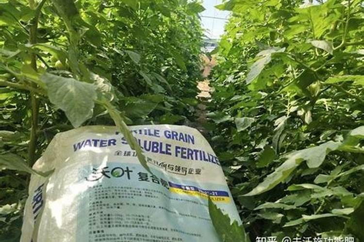 扎兰屯颗粒水溶肥肥效期多长时间一次好？