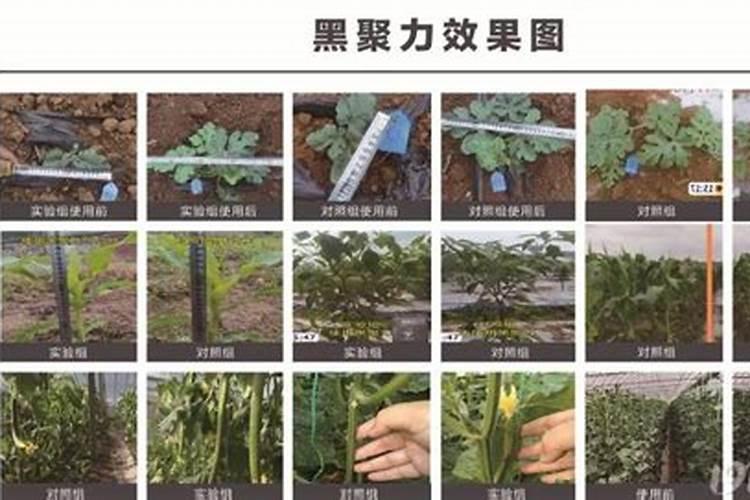 大量元素水溶肥料配比是多少合适？