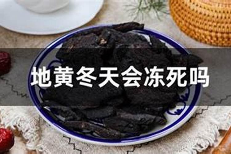 冬季能把菌肥冻死吗
