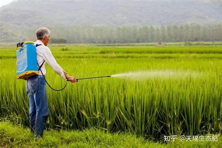 化肥4个月都不化是怎么回是