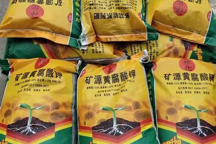 2025矿源黄腐酸钾施肥方法有哪些汾阳茶树？